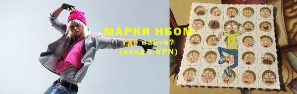 ПСИЛОЦИБИНОВЫЕ ГРИБЫ Гусев