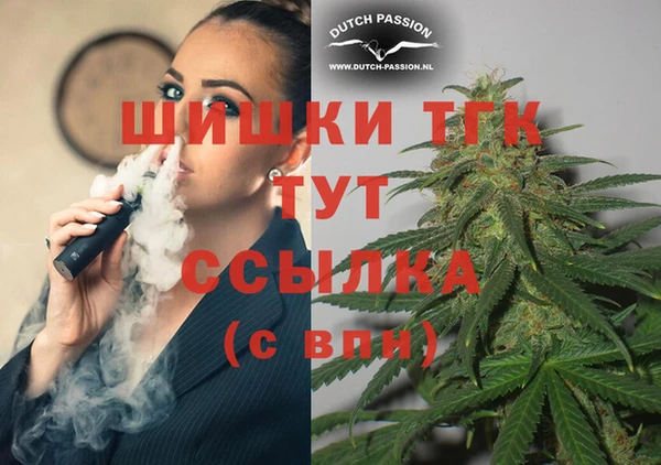 ПСИЛОЦИБИНОВЫЕ ГРИБЫ Гусев