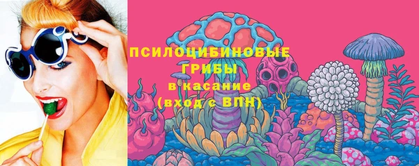 ПСИЛОЦИБИНОВЫЕ ГРИБЫ Гусев
