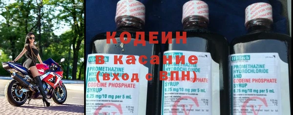 ПСИЛОЦИБИНОВЫЕ ГРИБЫ Гусев
