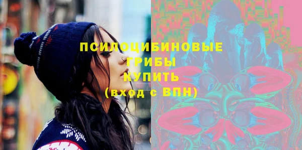 бошки Дмитриев
