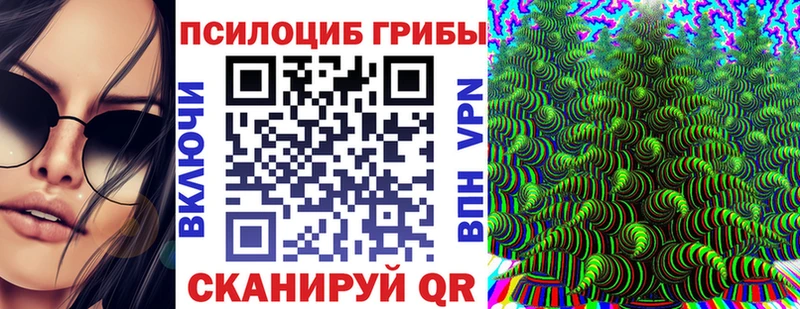 Купить где  Игра  Псилоцибиновые грибы мицелий 